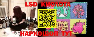 apvp Кимры