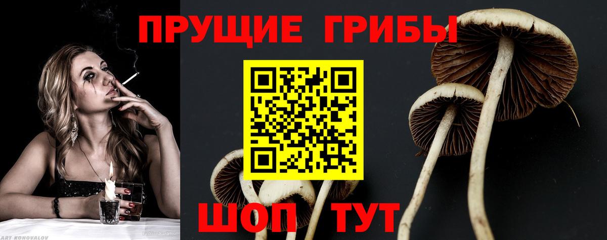 Галлюциногенные грибы мицелий  Вход с VPN  купить наркотики сайты  Галлюциногенные грибы Cubensis  Кувандык 